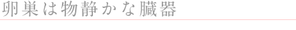 ◎卵巣は物静かな働きものの臓器？